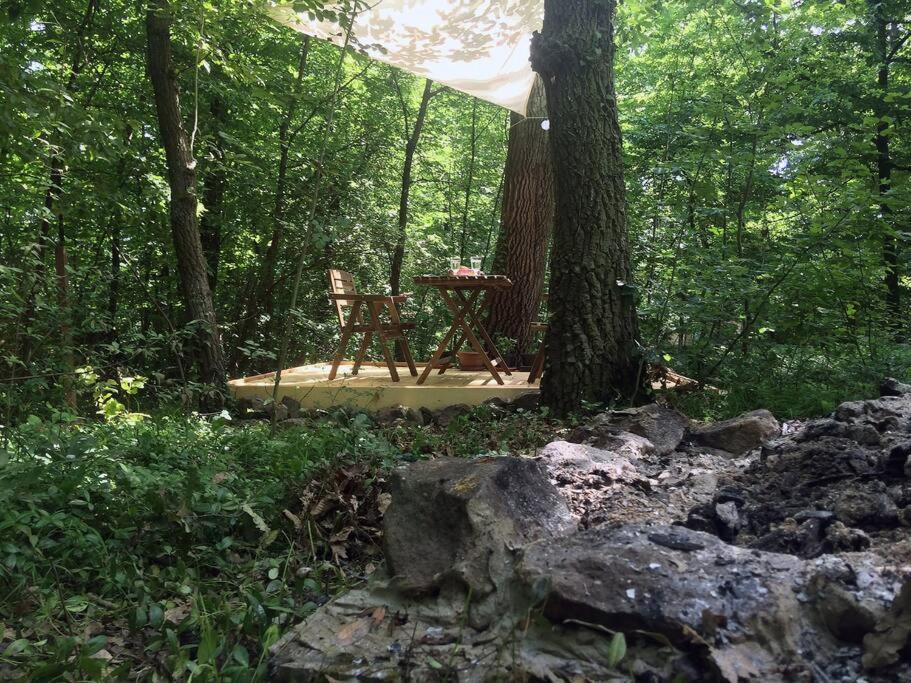 Cinke Cottage, Nest In Nature Verőcemaros 외부 사진